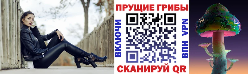 Купить где Кингисепп Галлюциногенные грибы ЛСД